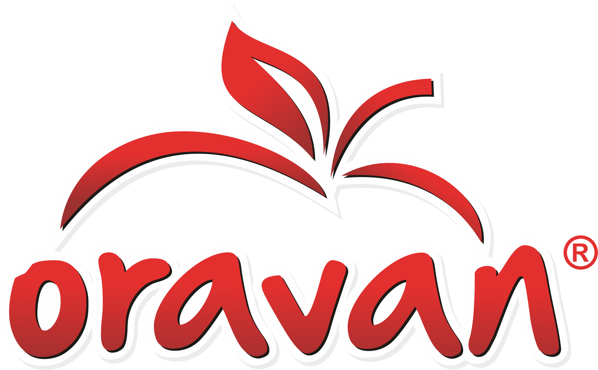 Nealko Oravan - logo